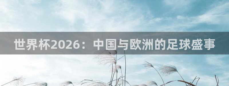 世界杯预选赛欧洲赛区积分榜:世界杯2026:中国与欧洲的足球盛事