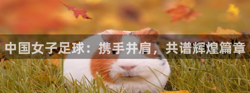 世界杯球队排名:中国女子足球:携手并肩,共谱辉煌篇章