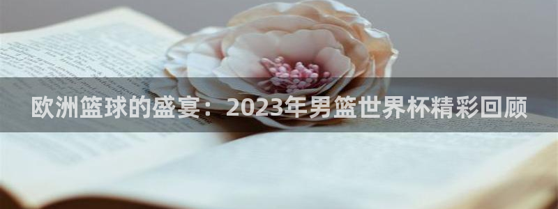 世界杯:欧洲篮球的盛宴:2023年男篮世界杯精彩回顾