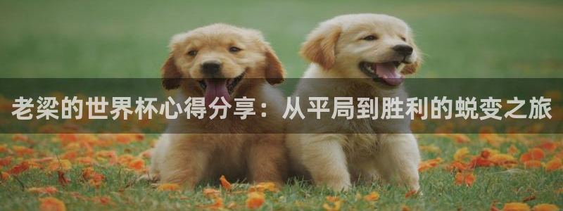 澳门世界杯直播:老梁的世界杯心得分享:从平局到胜利的蜕变之旅