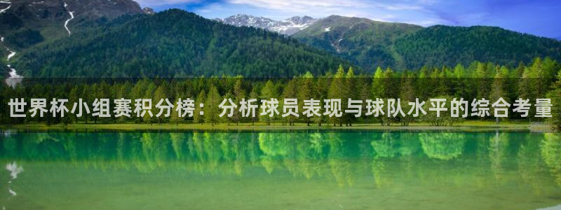 足球世界杯2026:世界杯小组赛积分榜:分析球员表现与球队水平的综合考量