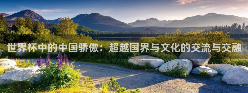 2026年世界杯时间表:世界杯中的中国骄傲:超越国界与文化的交流与交融
