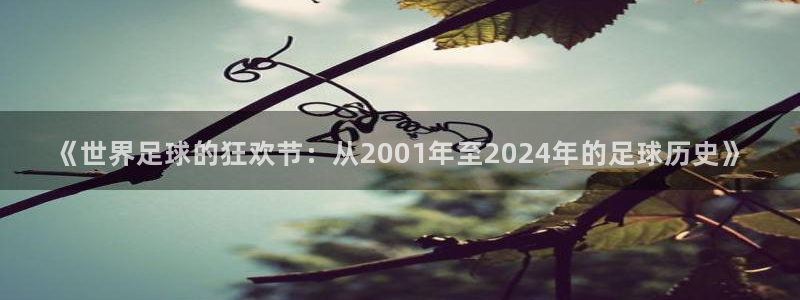 2026世界杯欧洲预选赛赛程表:《世界足球的狂欢节:从2001年至2024年的足球历史》