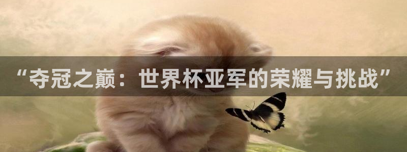 英足总杯直播:“夺冠之巅:世界杯亚军的荣耀与挑战”
